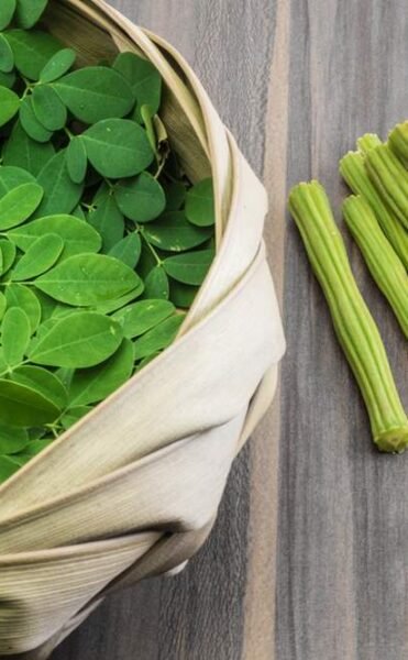 Moringa-